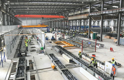 阿爾及利亞西部鐵路礦業線項目軌道工程全面啟動，打造區域經濟新動脈